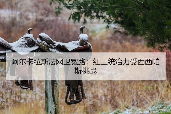 a-er-ka-la-si-fa-wang-wei-mian-lu-hong-tu-tong-zhi-li-shou-xi-xi-pa-si-tiao-zhan-2-603.jpg