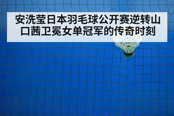 badminton net play